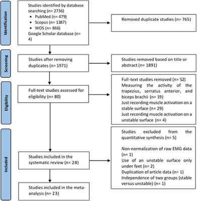 Electromyography of shoulder muscles in individuals without scapular dyskinesis during closed kinetic chain exercises on stable and unstable surfaces: a systematic review and meta-analysis